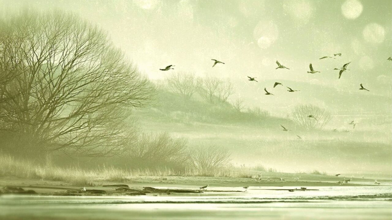 Gliding into Emptiness (3)