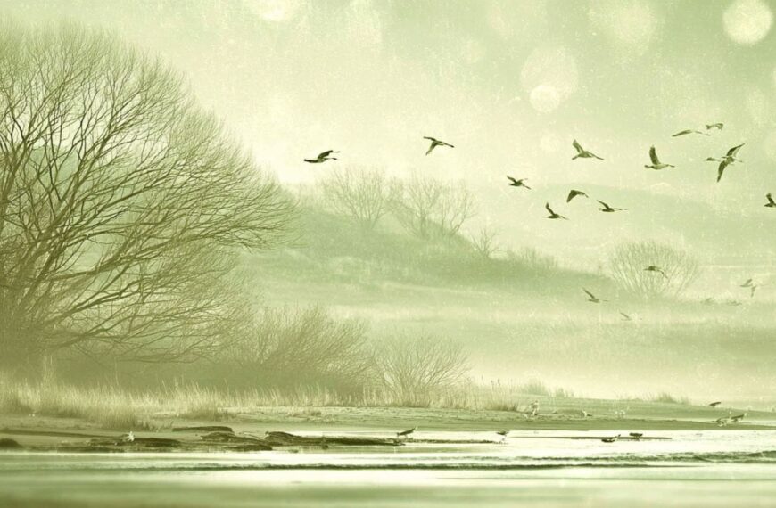 Gliding into Emptiness (3)