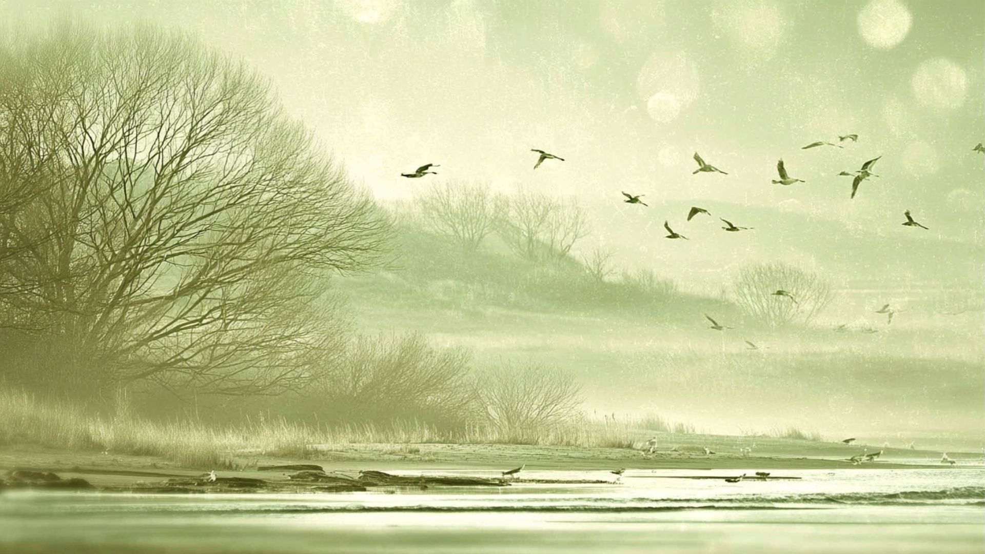 Gliding into Emptiness (3)