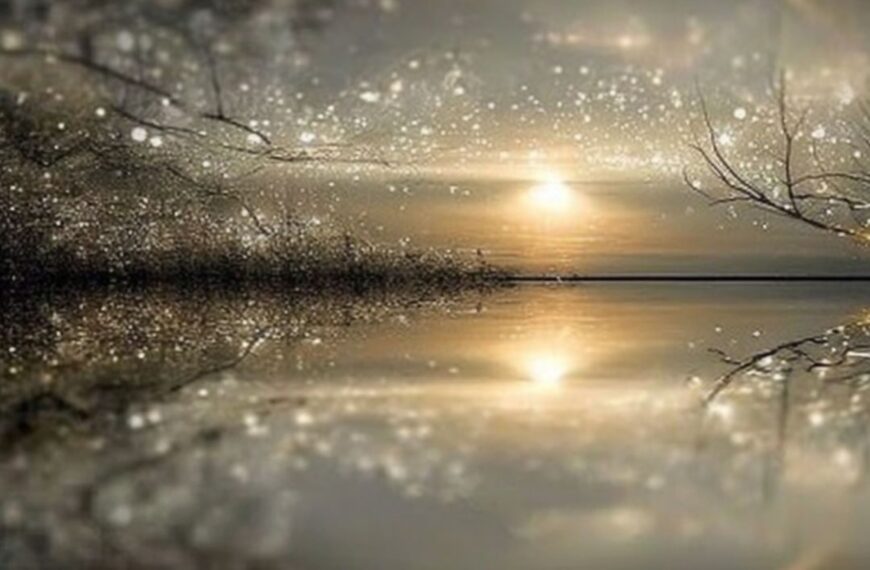 Step into the open field Podcast Cover + Blog foto INTEND